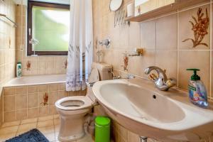 a bathroom with a toilet and a sink at Ferienwohnung Schnucki Lautenthal in Lautenthal +22 photos