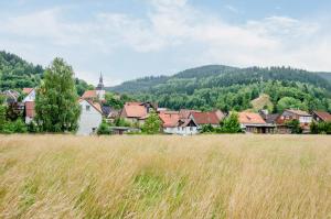 a field of tall grass in front of a town at Ferienwohnung Schnucki Lautenthal in Lautenthal