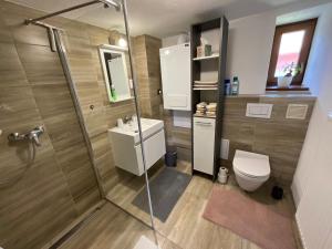 a bathroom with a shower and a toilet at Vidiecky domček in Pohronská Polhora +6 photos