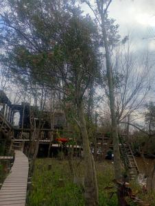 a wooden walkway in a park with trees at Irupecita Refugio Isleño in Victoria