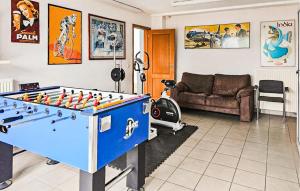ein Wohnzimmer mit Billardtisch und Sofa in der Unterkunft Campania in Florka