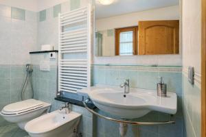 a bathroom with a sink and a toilet at Agritur Maso Bornie in Grauno