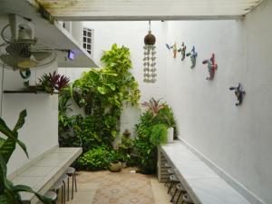 a room with a bunch of plants on the wall at Casa Laurel in Cancún +9 photos