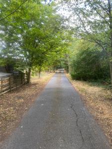 an empty road with trees on either side of it at Lavender Cottage in Long Bennington