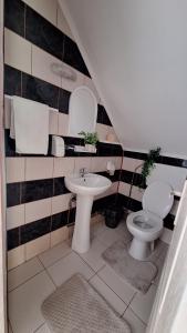 a bathroom with a sink and a toilet at Casa de vacanta Bulz in Bulz +28 photos