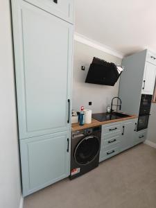 a kitchen with a washer and dryer in a room at The Cube in Sibiu