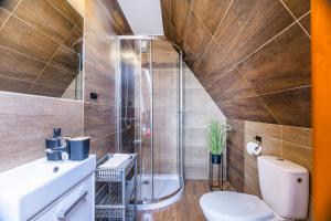 a bathroom with a toilet and a glass shower at Willa Pod Wierchem in Bukowina Tatrzańska