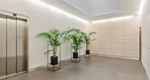a hallway with three potted plants on the wall at Royal Hamilius Luxury 1 bed in Luxembourg