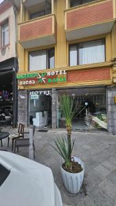 a building with a plant in a pot in front of it at Malta Hotel in Batumi