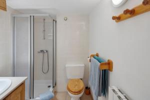 a bathroom with a shower and a toilet and a sink at Chambres Et Table D'hôtes De Vernet in Saint-Germain-de-Calberte +44 photos