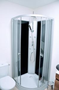 a glass shower in a bathroom with a toilet at Dormir près de Brioude - studio 'esprit vacances' in Fontannes