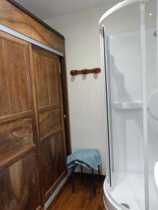a bathroom with a shower and a toilet and a wooden door at Beau chalet en vallée d'Ossau in Laruns +28 photos
