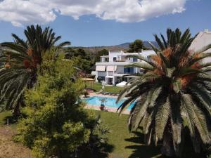 a house with a swimming pool and two palm trees at Kinetious Nisous Stylish Apt, Pool, near the Beach in Kineta