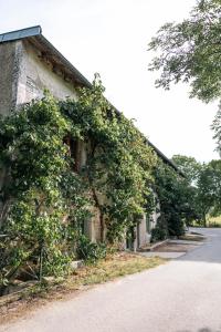 a building covered in ivy next to a road at Domaine du Moulin Français in Champougny