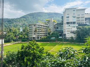 a city with tall buildings and a green field at The Shire in Kandy