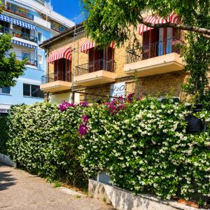 a bush of flowers in front of a building at Casa Drema - Villa al mare con terrazza in Pescara