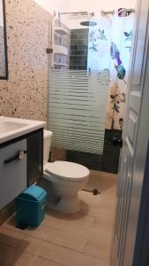 a bathroom with a toilet and a shower at condominio Crismairy in Bayahibe