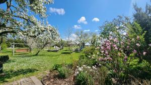 a park with pink flowers and trees and a bench at Agroturystyka u Bogusi in Sarbinowo