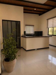 a lobby with a counter and a potted plant at SIORA Retreat in Dambulla