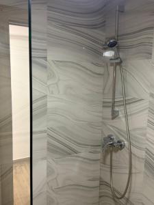 a shower with a glass door in a bathroom at Apartments Boss in Budva