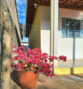 a pot of pink flowers on the side of a house at Casa próxima ao Parque das Águas in São Lourenço