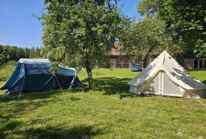 a tent and a tree in a field at Camping Szelągówka in Sorkwity