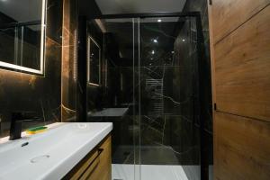 a bathroom with a shower and a white sink at T2 Les Suites du Roubion in Montélimar