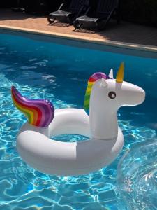 a unicorn inflatable ring in a swimming pool at Chalet tout confort in Rivières