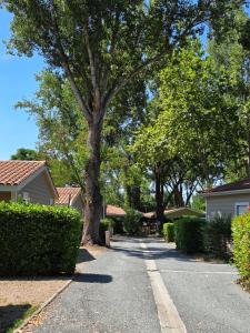 a street with a tree in the middle of a house at Chalet tout confort in Rivières