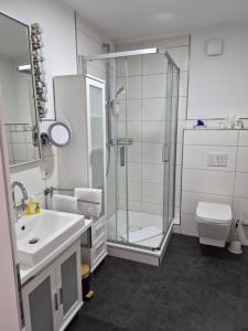 a bathroom with a shower and a sink and a toilet at Kurparkhotel-Gemünd in Gemünd +42 photos