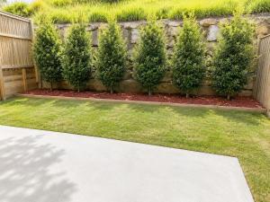 a row of shrubs against a fence at 20 Pimpama Home in Pimpama
