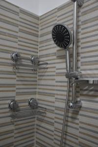 a shower with a shower head in a bathroom at Ana apartmani in Pačir +29 photos