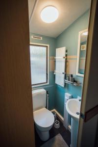 a bathroom with a toilet and a sink at Tiny House Kleinrettbach  +7 photos