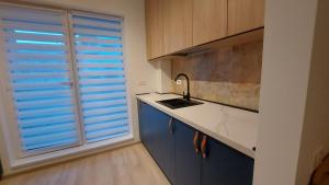 a kitchen with a sink and blue cabinets and a window at 85th Pool View 2 Rooms Apartament in Popeşti-Leordeni