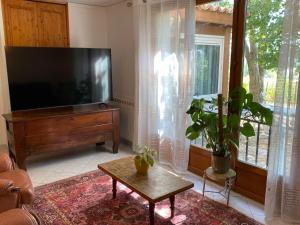 a living room with a flat screen tv and a potted plant at La Bastide Rempelin in Aix-en-Provence