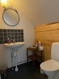 a bathroom with a sink and a toilet and a mirror at Nyhyttan Nora Bergslagen The Three Birches in Nora +39 photos