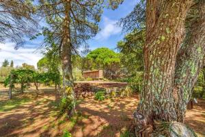 a yard with trees and a house in the background at Portugal Active Oliveiras Farm in Viana do Castelo