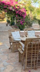 a group of wicker chairs and a table and a fence at منتجع سفاري ديور in At Turbīyah