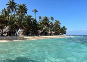 a beach with palm trees and turquoise water at Arriyaladub traditional cabins San blas in Masargantupo