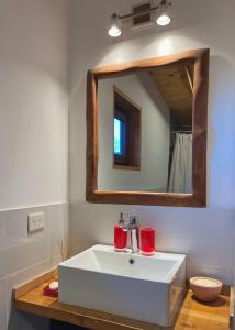 a bathroom with a white sink and a mirror at Green House B & B in Villa La Angostura +35 photos