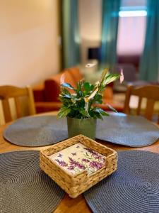 a table with a basket and a plant on it at Bracka Dom in Pabianice