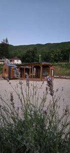 a house is sitting in the middle of a field at Tiny Merak - Ramsko jezero in Kovačevo Polje