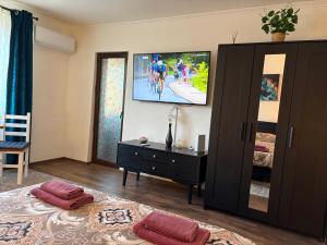 a living room with a tv on the wall at Alio Room Campulung Moldovenesc in Câmpulung Moldovenesc