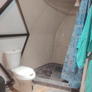 a bathroom with a toilet and a blue shower curtain at Casa Domo Glamping Entre las Nubes in Santa Rosalía