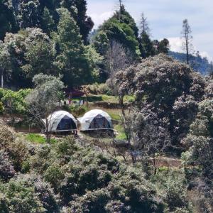 two tents in a forest with trees at Casa Domo Glamping Entre las Nubes in Santa Rosalía