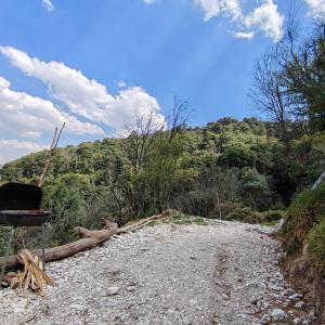 a dirt road in the middle of a forest at Casa Domo Glamping Entre las Nubes in Santa Rosalía