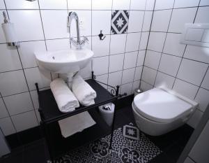 a bathroom with a sink and a toilet at Alt Wien in Vienna