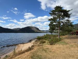 a tree on the shore of a body of water at Longerak Camping in Bygland