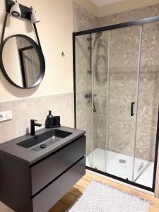 a bathroom with a sink and a shower at Au pied du mur in Huy +37 photos