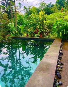Piscina a Faraway Mount Batukaru o a prop